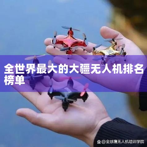 DJI: Ϊȫ˻ҵ쵼ߣڴ󽮴¿Ƽ޹˾ƾܺʵ˻ȫ100ûϲרעڹҵӦáרҵںeHANG: ں_X|˻UAV ͳơȫƷ˻|ֲ˻|˻|˻